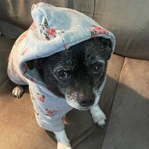 Floral Gray Dog Hoodie NFS